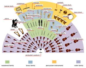 Instruments - Austin Symphony Orchestra